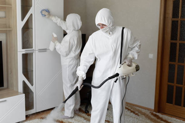 Best Mold Testing  in Vian, OK